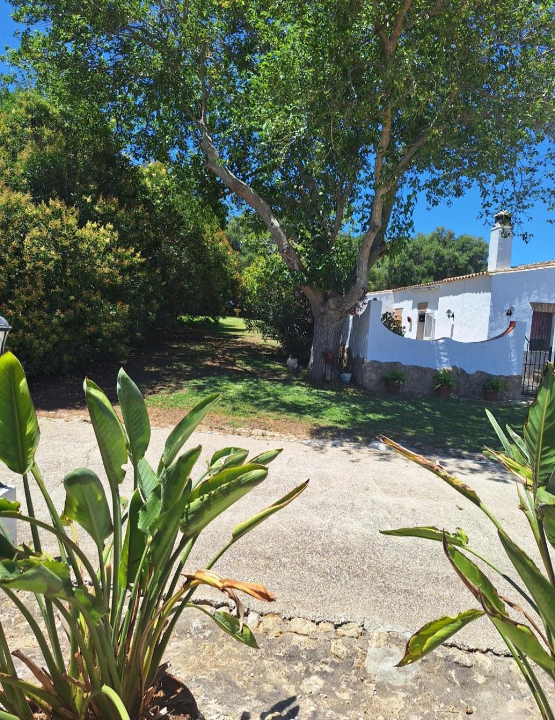 Casa Rural El Nino Santamaria , Con Piscina Y Wifi Vejer de la Frontera Buitenkant foto